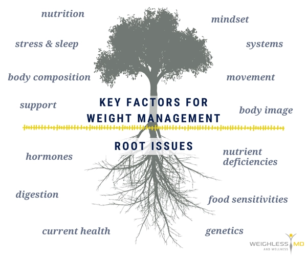 Weight Loss Middle GA Key Factors For Weight Management And Root Issues