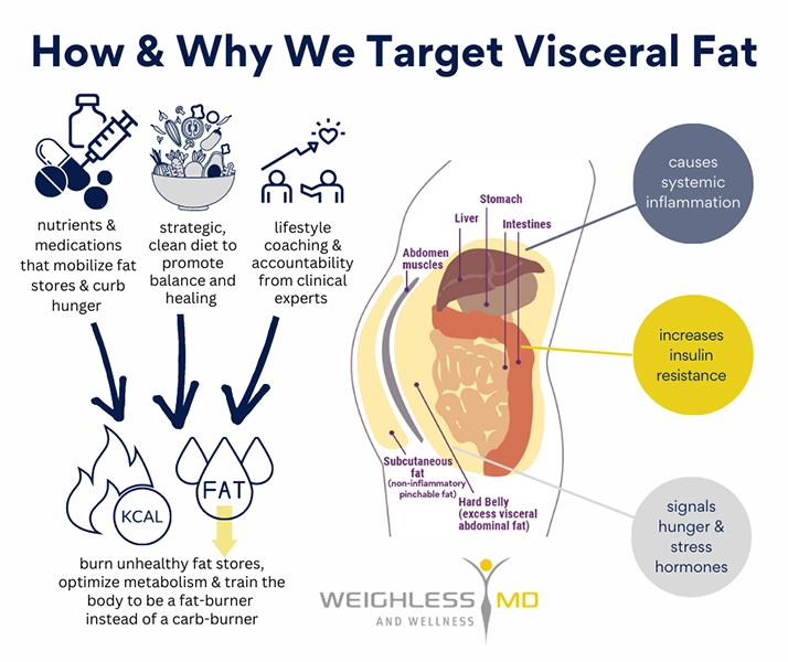 Weight Loss Middle GA Visceral Fat Diagram